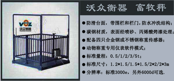 �ֱ�������-�����ۺ����(w��)