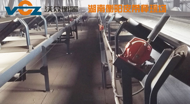 Ƥ���ӿ͑��F(xi��n)��