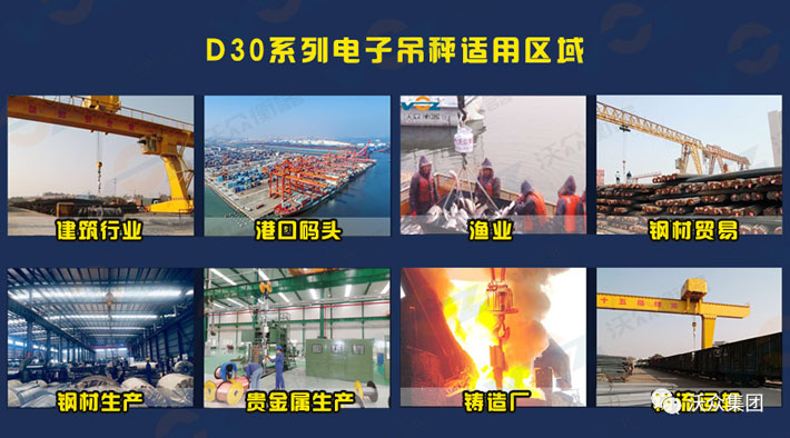 D30ʹ���I(l��ng)��